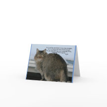 Regenboogbrug - Katten Gedicht sympathie