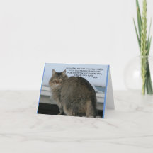 Regenboogbrug - Katten Gedicht sympathie