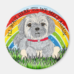Regenboogbrug kleine Shiatsu of Lhaso Apso hond Magneet