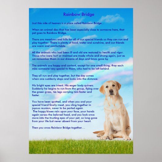 Regenboogbrug Poster (Voorkant)