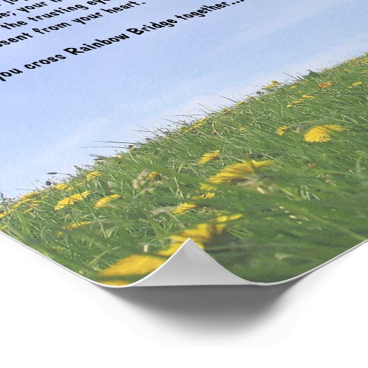 Regenboogbrug Poster (Hoek)