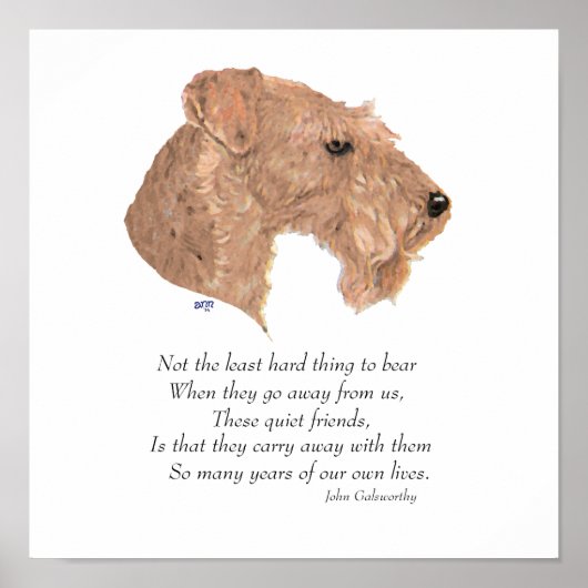 Regenboogbrug Poster (Voorkant)