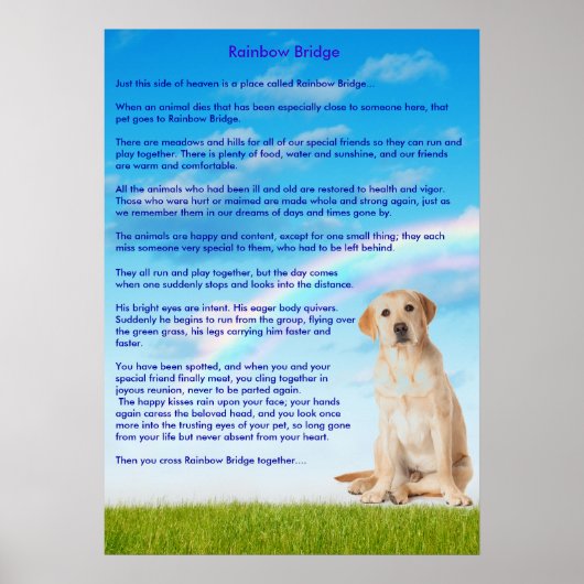 Regenboogbrug Poster (Voorkant)