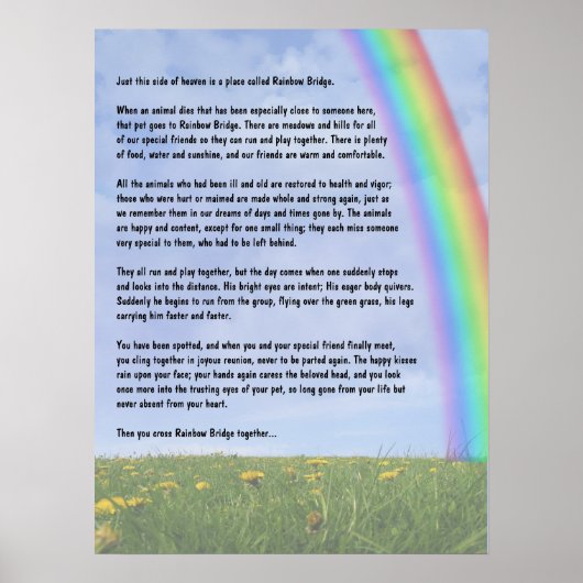 Regenboogbrug Poster (Voorkant)