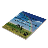 Regenboogbrug Tegeltje (Zijkant)