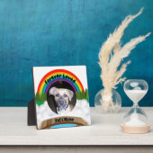 Regenboogbrug: verlies van huisvuil fotoplaat (Insitu)