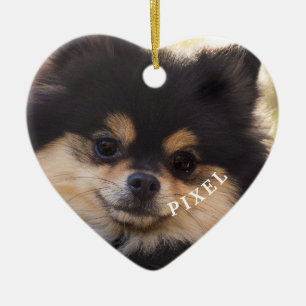 Regenboogbrug voor altijd in ons hart Geest Verlie Keramisch Ornament