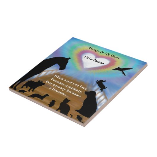 Regenboogbruggen Tegeltje (Zijkant)