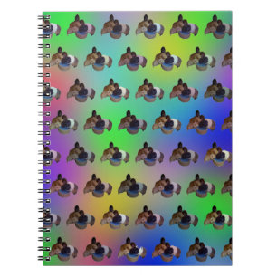 Regenboogcavia's, Notitieboek