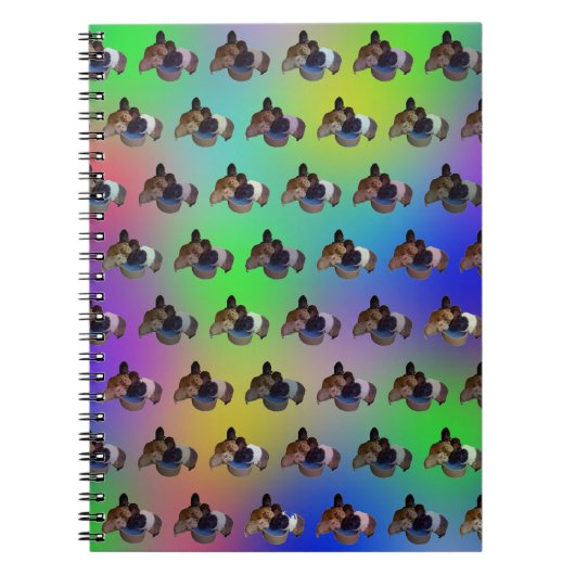 Regenboogcavia's, Notitieboek (Voorkant)