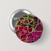 Regenboogcoleus Ronde Button 5,7 Cm (Voorkant /achterkant)
