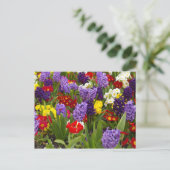 RegenboogCollectie Briefkaart (Staand voorkant)