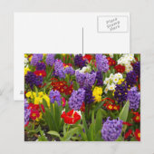 RegenboogCollectie Briefkaart (Voorkant / Achterkant)
