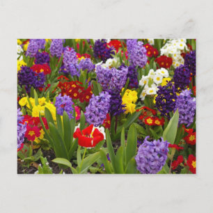 RegenboogCollectie Briefkaart