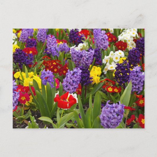RegenboogCollectie Briefkaart (Voorkant)