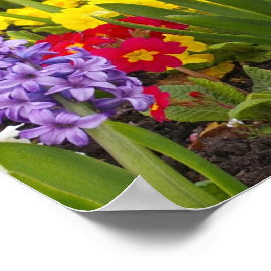 RegenboogCollectie Poster (Hoek)