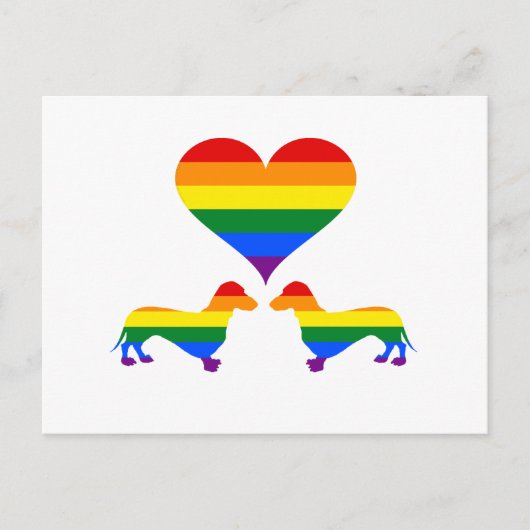 Regenboogdachshonden Briefkaart (Voorkant)