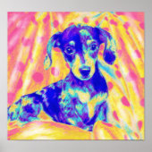 regenboogdachshund poster (Voorkant)