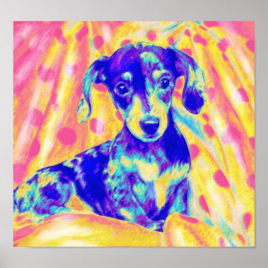 regenboogdachshund poster (Voorkant)
