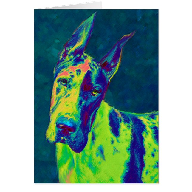 regenboogdane (Voorkant)