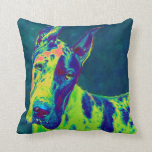 regenboogdane kussen