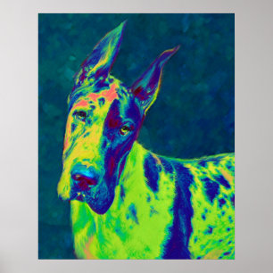 regenboogdane poster