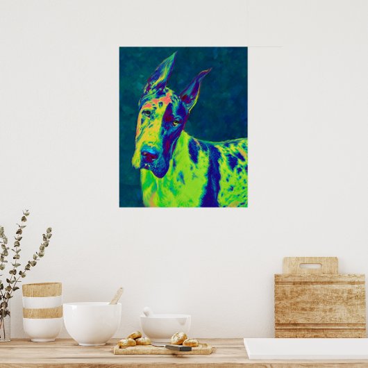 regenboogdane poster (Keuken)