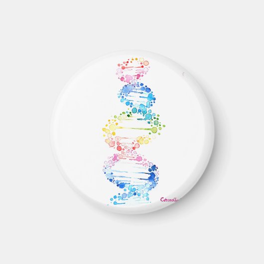 RegenboogDNA Magneet (Voorkant)
