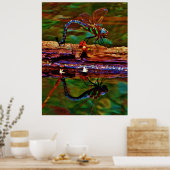 Regenboogdragonfly, Blauwgroen en paarse dragonfly Poster (Keuken)