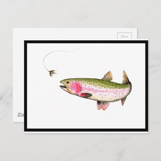 Regenboogforel Briefkaart (Voorkant / Achterkant)