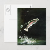 regenboogforel briefkaart (Voorkant / Achterkant)