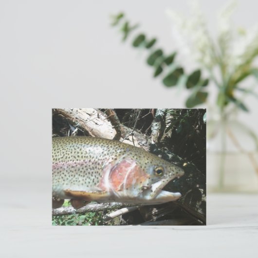 Regenboogforel Briefkaart (Staand voorkant)