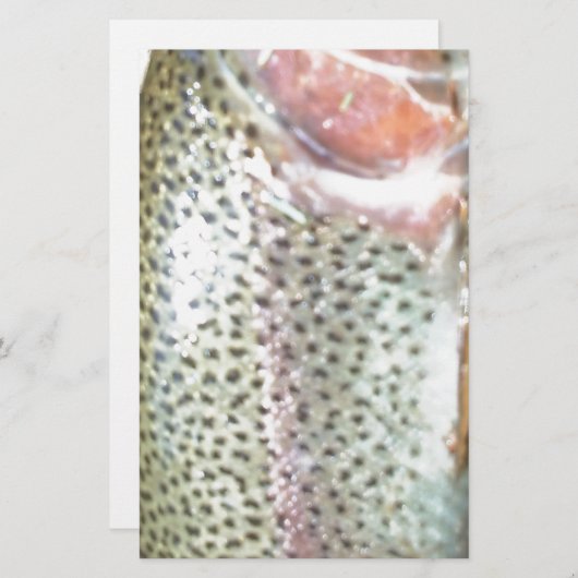 Regenboogforel Briefpapier (Voorkant / Achterkant)