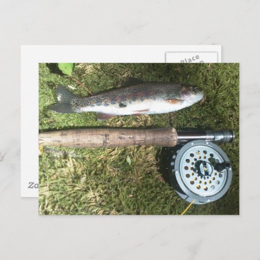 regenboogforel en vliegreel briefkaart (Voorkant / Achterkant)