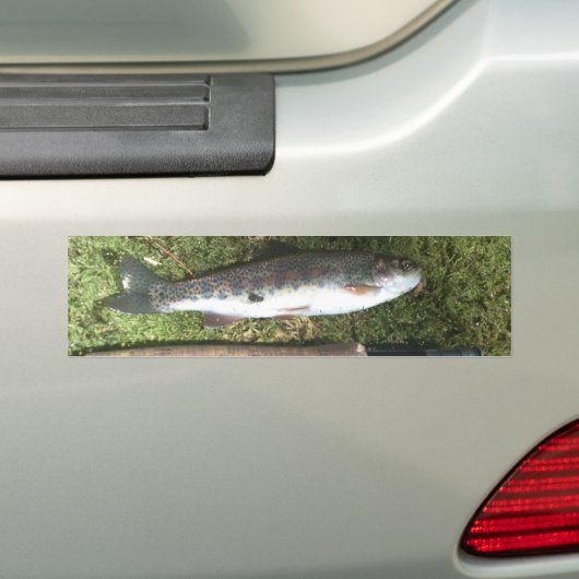 regenboogforel en vliegreel bumpersticker (Op auto)
