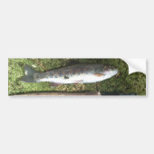 regenboogforel en vliegreel bumpersticker (Voorkant)