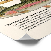 Regenboogforel – Engelse Kunstprint Poster (Hoek)