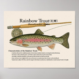 Regenboogforel – Engelse Kunstprint Poster