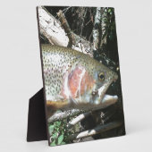 Regenboogforel Fotoplaat (Zijkant)