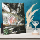 Regenboogforel Fotoplaat (Zijkant)