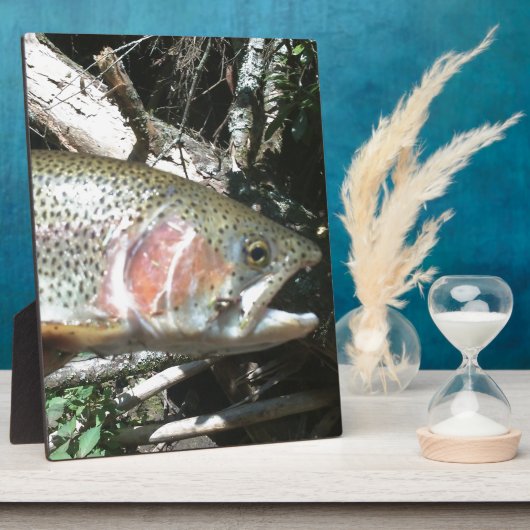 Regenboogforel Fotoplaat (Zijkant)