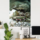 regenboogforel in poster voor de visserij op brook (Thuiskantoor)