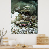 regenboogforel in poster voor de visserij op brook (Keuken)