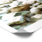 regenboogforel in poster voor de visserij op brook (Hoek)