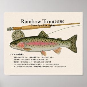 Regenboogforel – Japanse Kunstprint Poster