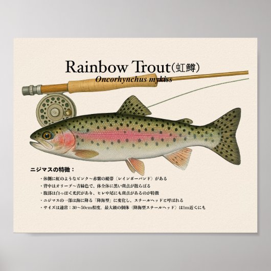 Regenboogforel – Japanse Kunstprint Poster (Voorkant)