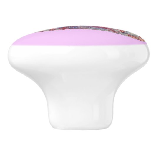 Regenboogforel Keramische Knop (Zijkant)