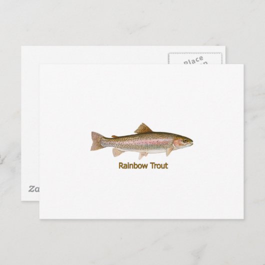 Regenboogforel (met titel) briefkaart (Voorkant / Achterkant)