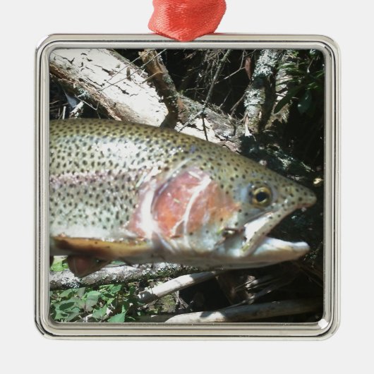Regenboogforel Metalen Ornament (Voorkant)