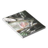 Regenboogforel Notitieblok (Schuin)